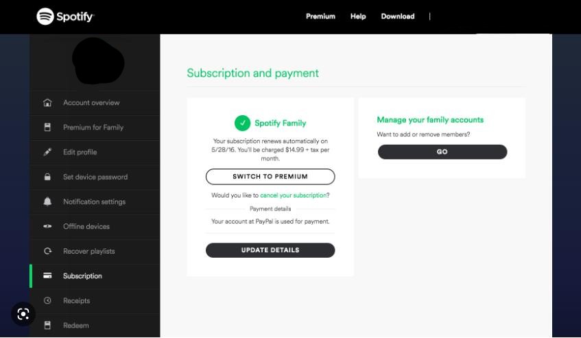 removw spotify premium family member