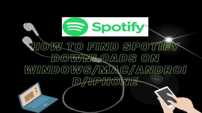 find spotify downloads on devices