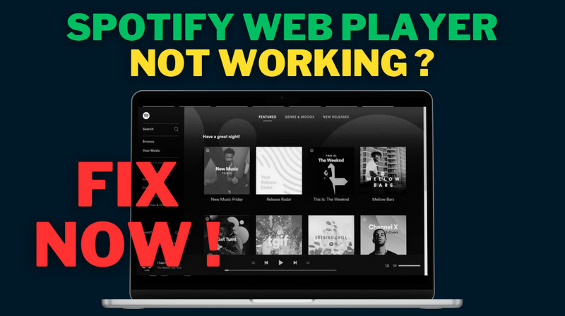 fix spotify web player not working